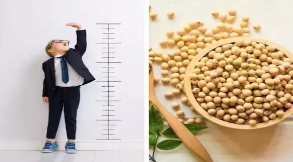 مدار الساعة,أخبار الأسرة