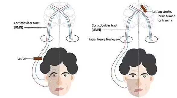 مدار الساعة,أخبار الأسرة,كورونا