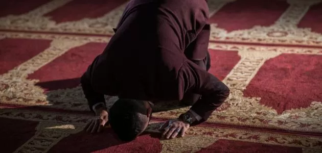 مدار الساعة,أخبار الأسرة