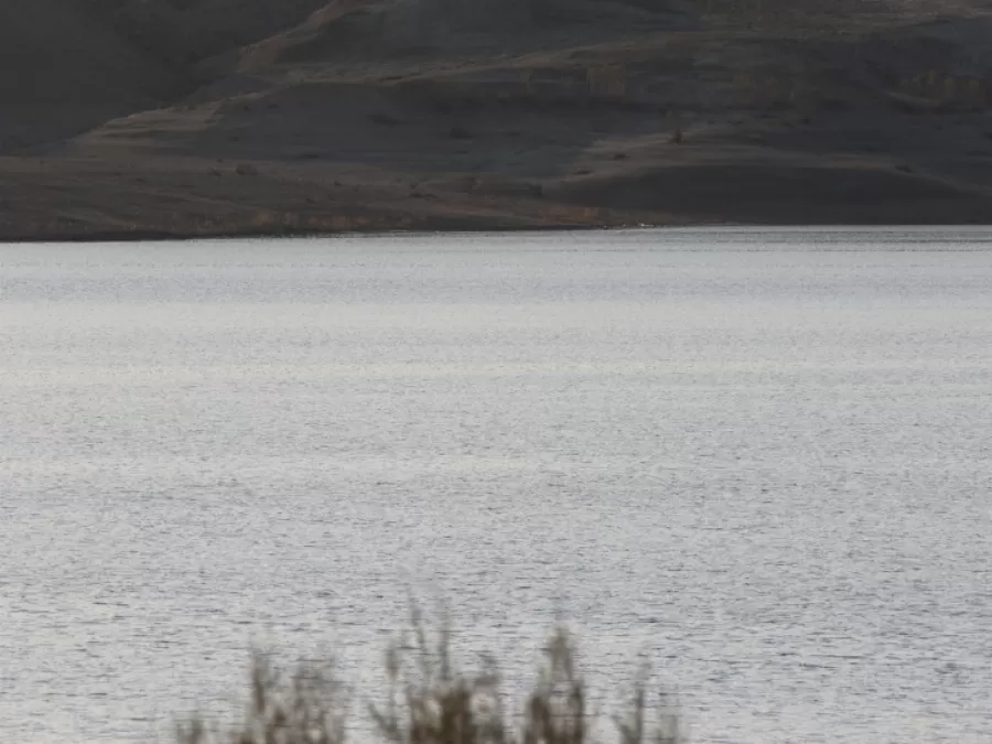 مدار الساعة,أخبار الأردن,اخبار الاردن,سلطة وادي الأردن,مديرية الأمن العام,وادي الأردن,الأمن العام,مستشفى الشونة الجنوبية