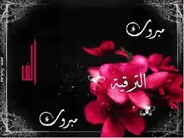 مدار الساعة,مناسبات أردنية