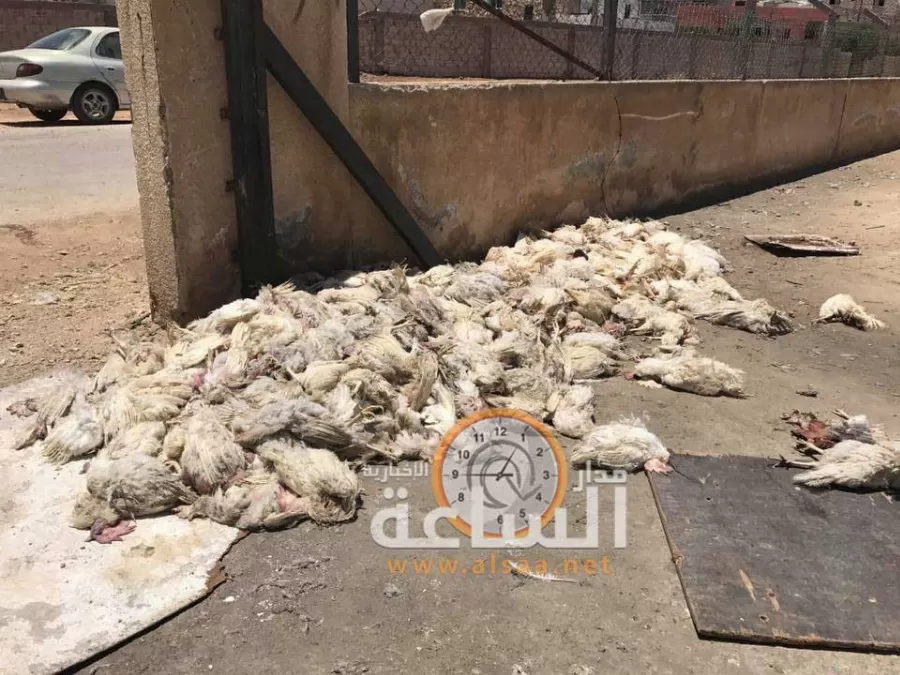 مدار الساعة,أخبار الأردن,اخبار الاردن