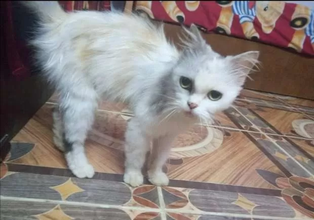 مدار الساعة,أخبار الأسرة,وسائل التواصل الاجتماعي