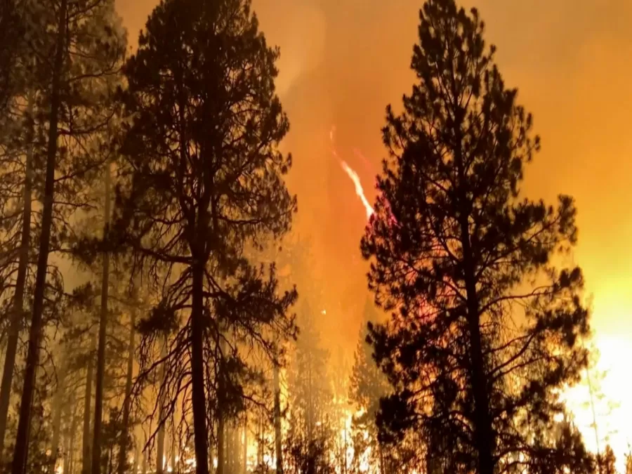 مدار الساعة,أخبار خفيفة ومنوعة,الأرصاد الجوية