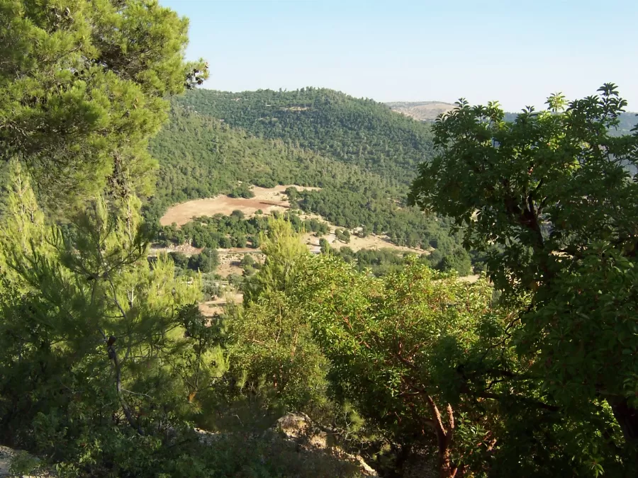 مدار الساعة,أخبار الأردن,اخبار الاردن,وزير الزراعة