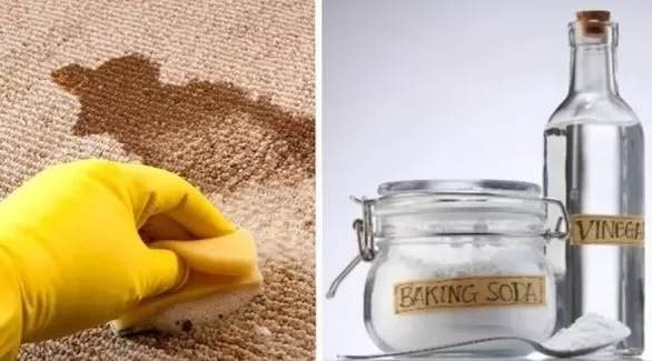 مدار الساعة,أخبار الأسرة,وسائل التواصل الاجتماعي