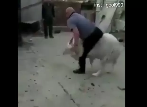 مدار الساعة,Video,فيديو,أخبار خفيفة ومنوعة,مواقع التواصل الاجتماعي