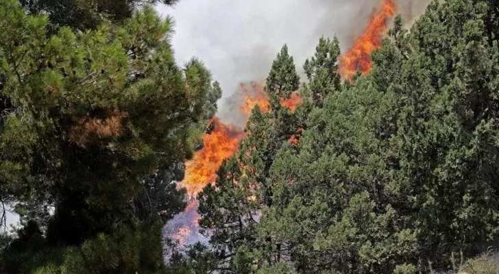 مدار الساعة,أخبار رياضية