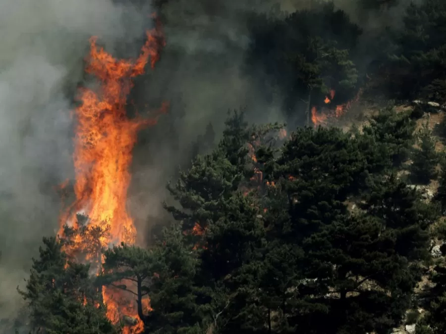 مدار الساعة,أخبار عربية ودولية,وزير الزراعة,الدفاع المدني
