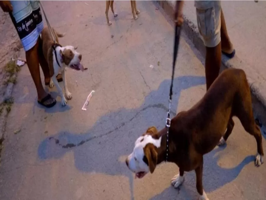 مدار الساعة,أخبار خفيفة ومنوعة