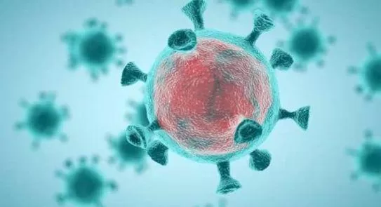 مدار الساعة,أخبار خفيفة ومنوعة,كورونا