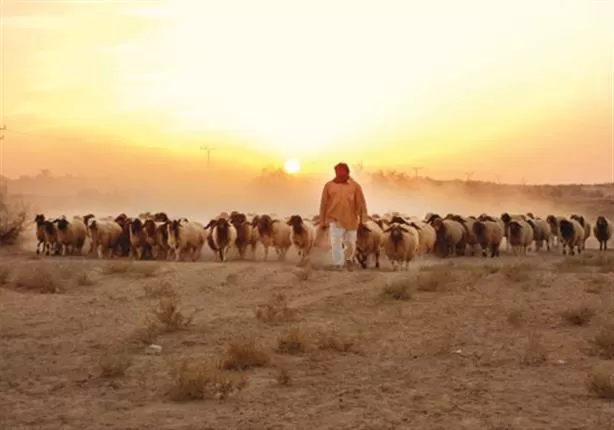 مدار الساعة,أخبار الأردن,اخبار الاردن,مستشفى الكرك الحكومي