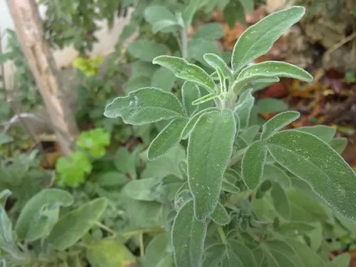 مدار الساعة,أخبار خفيفة ومنوعة