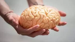 مدار الساعة,أخبار الأسرة