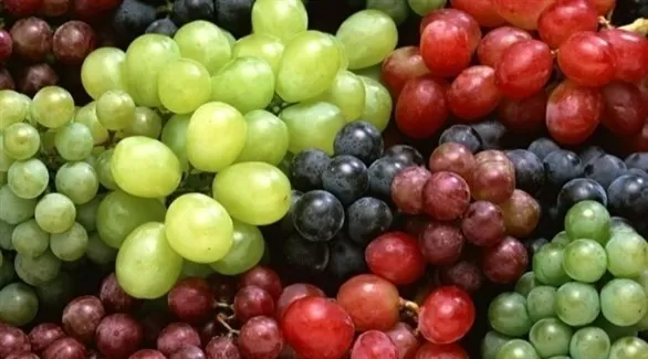 مدار الساعة,أخبار الأسرة