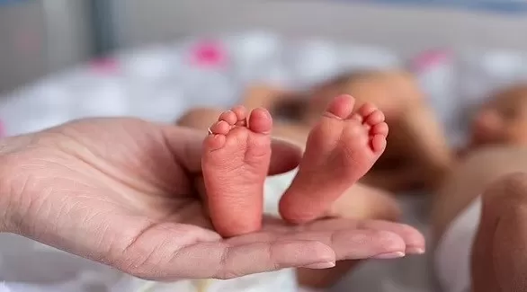مدار الساعة,أخبار الأسرة