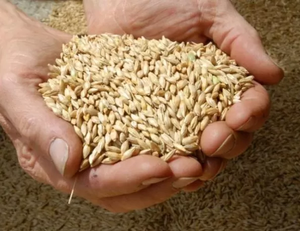 مدار الساعة,أخبار اقتصادية