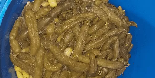 مدار الساعة,أخبار الأردن,اخبار الاردن
