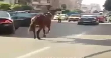 مدار الساعة,أخبار الأردن,اخبار الاردن