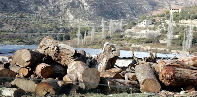 مدار الساعة,أخبار الأردن,اخبار الاردن,وزير الزراعة,الإقراض الزراعي