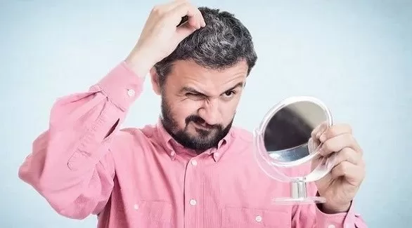 مدار الساعة,أخبار الأسرة