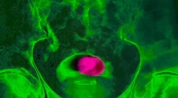 مدار الساعة,أخبار الأسرة