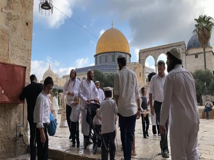 مدار الساعة,أخبار عربية ودولية,المسجد الأقصى