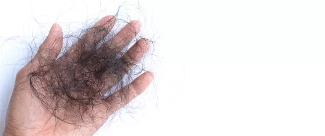 مدار الساعة,أخبار الأسرة