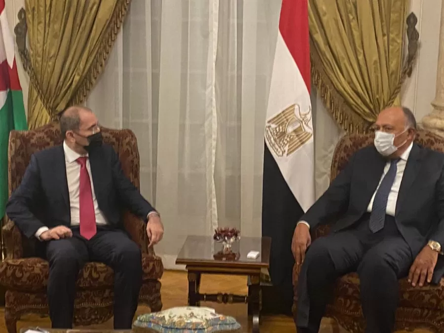 مدار الساعة,أخبار الأردن,اخبار الاردن,نائب رئيس الوزراء,وزير الخارجية وشؤون المغتربين,رئيس الوزراء,وزارة الخارجية,جامعة الدول العربية