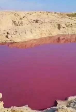 مدار الساعة,أخبار الأردن,اخبار الاردن,سلطنة عمان,البحر الميت