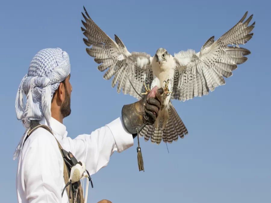 مدار الساعة,أخبار السياحة في الأردن,وزير الداخلية,مواقع التواصل الاجتماعي
