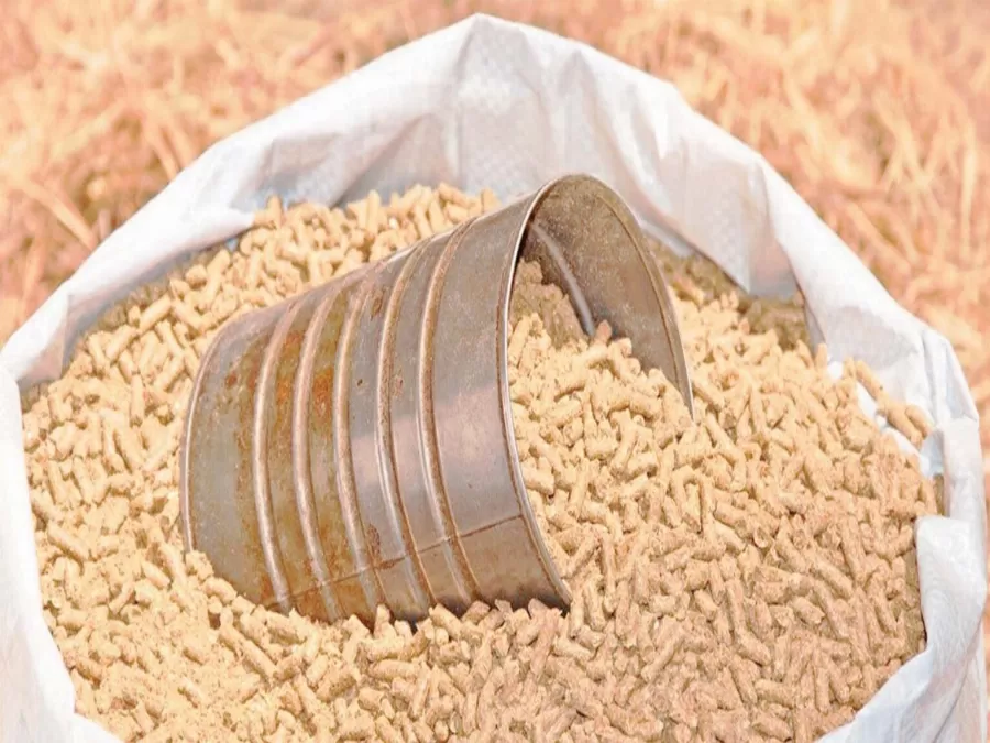 مدار الساعة,أخبار اقتصادية,نسبة البطالة,وزارة التخطيط والتعاون الدولي,وزارة البيئة,وزارة التخطيط