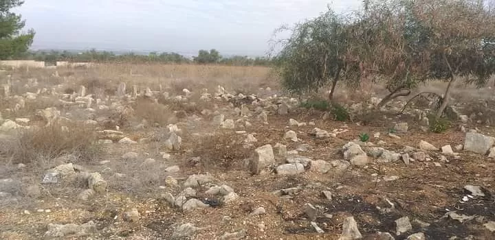 مدار الساعة,أخبار السياحة في الأردن