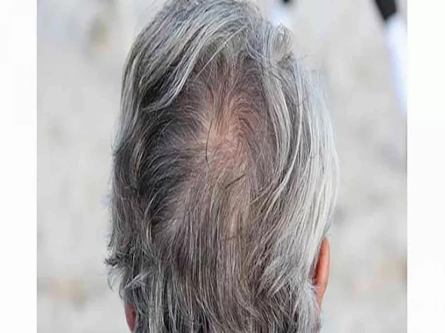 مدار الساعة,أخبار الأسرة