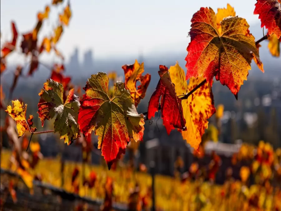 مدار الساعة,الطقس في الأردن اليوم,طقس الأردن,طقس العرب,طقس العرب الاردن