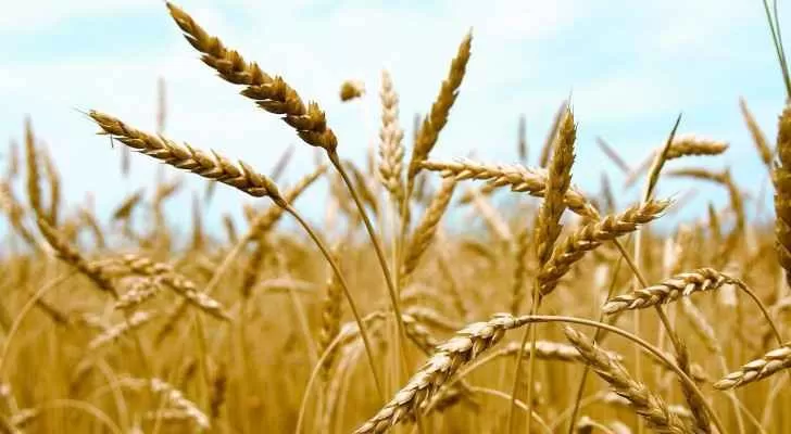 مدار الساعة,أخبار الأردن,اخبار الاردن,وزير الزراعة