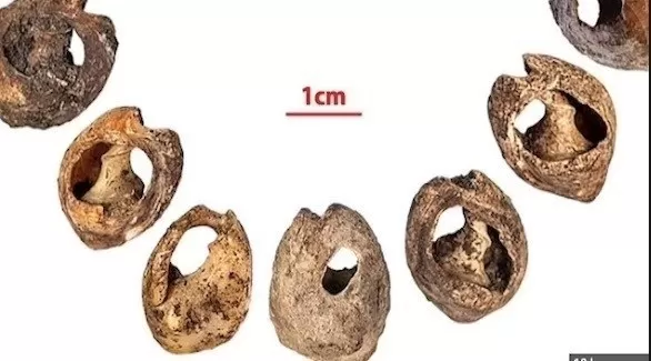 مدار الساعة,أخبار الأسرة