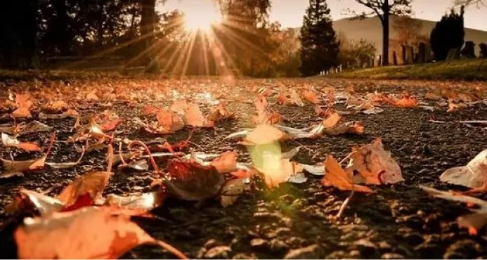 مدار الساعة,الطقس في الأردن اليوم,طقس الأردن,طقس العرب,طقس العرب الاردن,درجات الحرارة العظمى والصغرى,درجات الحرارة,البحر الميت