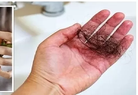 مدار الساعة,أخبار الأسرة