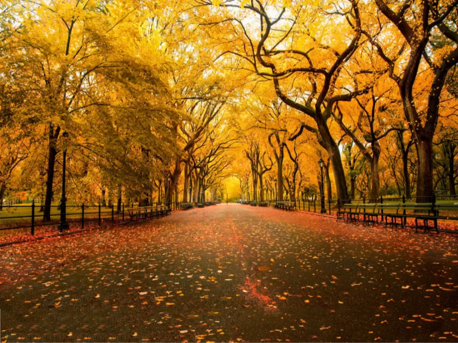 مدار الساعة,الطقس في الأردن اليوم,طقس الأردن,طقس العرب,طقس العرب الاردن,درجات الحرارة,الأرصاد الجوية,البحر الميت