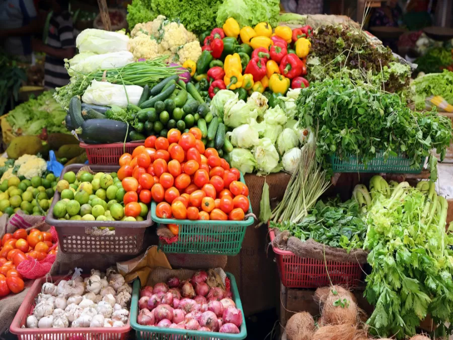 مدار الساعة,أخبار عربية ودولية,الملك عبدالله الثاني,منظمة الصحة العالمية,الأمم المتحدة,درجات الحرارة,التنمية المستدامة