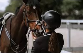 مدار الساعة,أخبار رياضية