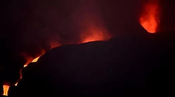 مدار الساعة,أخبار الأسرة,كورونا