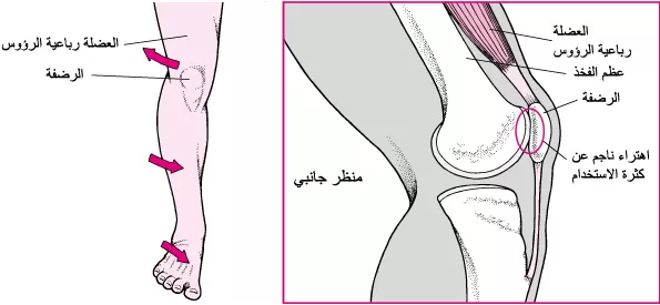مدار الساعة,أخبار الأسرة