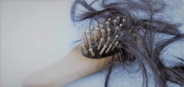 مدار الساعة,أخبار الأسرة