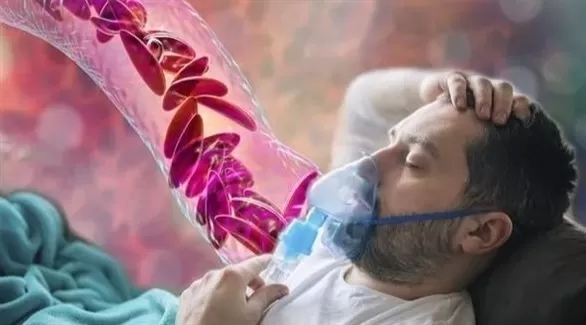 مدار الساعة,أخبار الأسرة