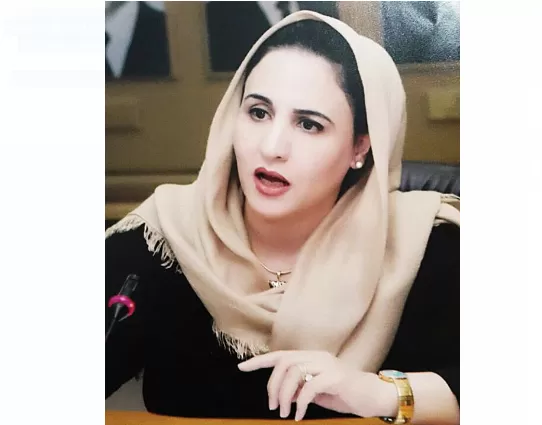 مدار الساعة,مقالات,مجلس النواب