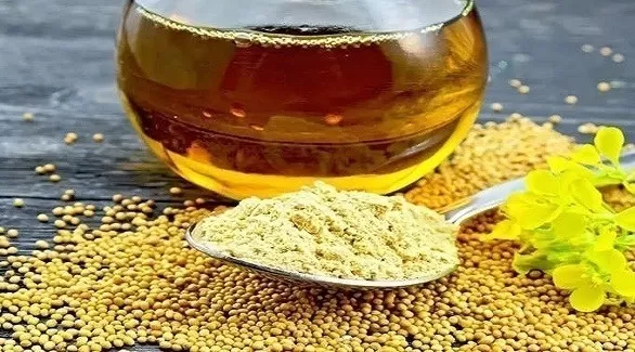 مدار الساعة,أخبار الأسرة