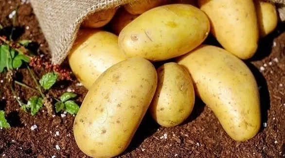 مدار الساعة,أخبار الأسرة