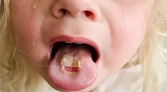 مدار الساعة,أخبار الأسرة